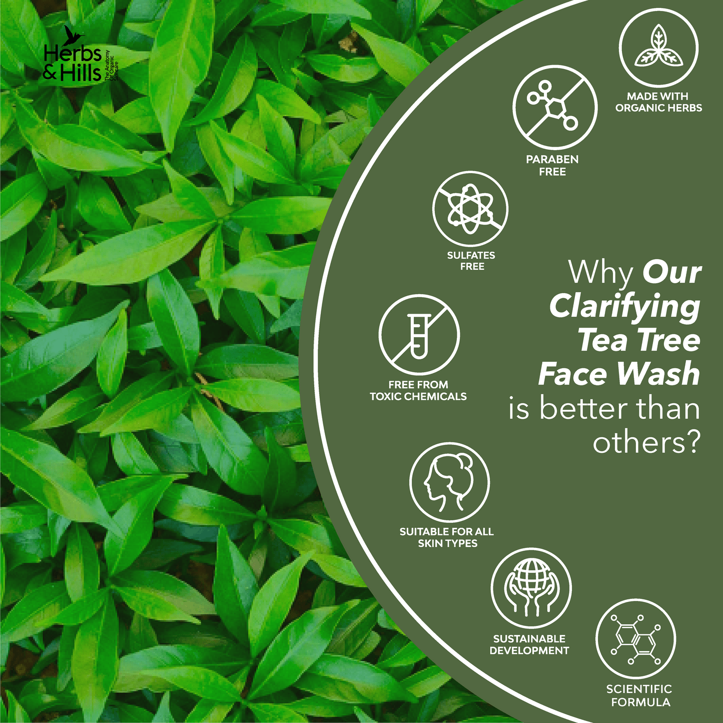 Clarifying Tea Tree Face Wash - 100 ml